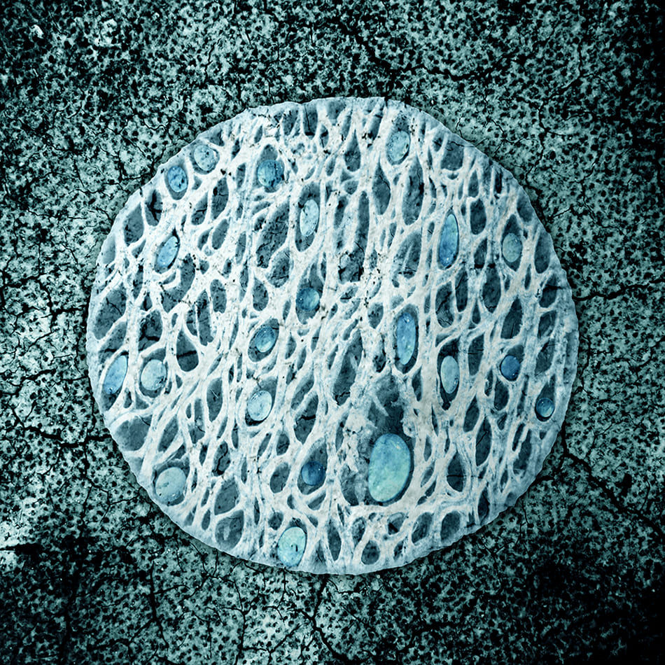 SYMPOIESIS / SITUATED Residencies / 2027 / Early call